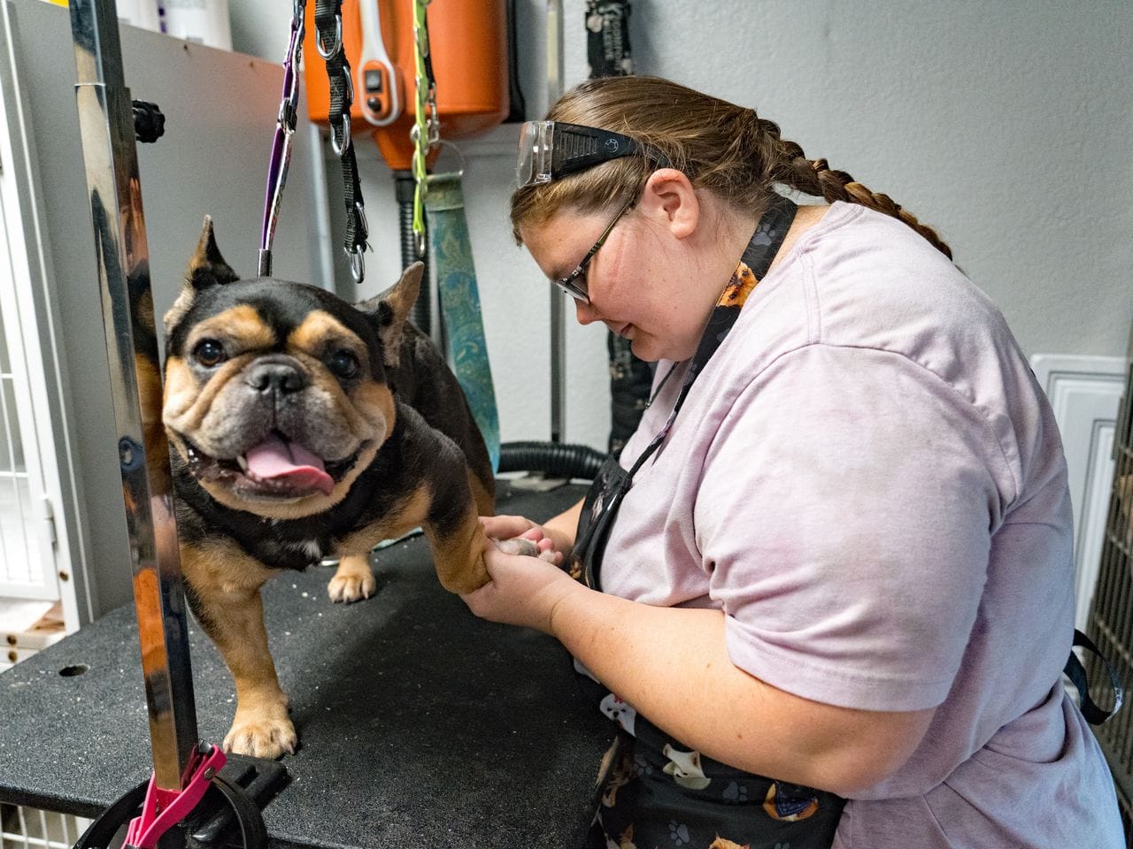 A dog being bathed at Pure Joy Pet Salon
